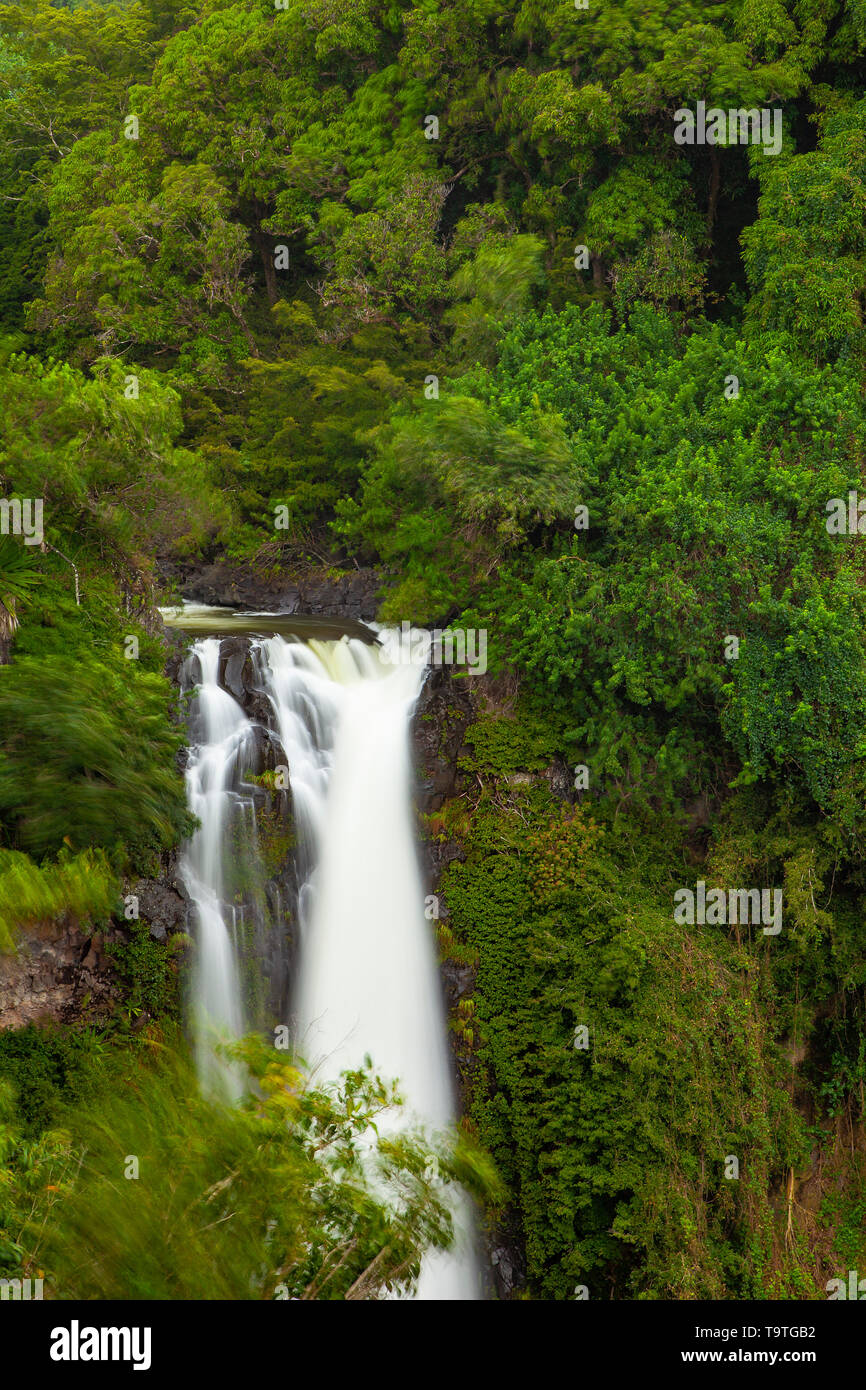 Falls at Makahiku, Haleakala National Park, Maui, Hawaii, USA Stock Photo