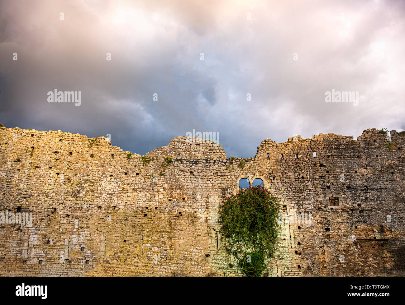damaged castle wall background ruins sky backdrop storm clouds windows ivy plant flowers copyspace Stock Photo