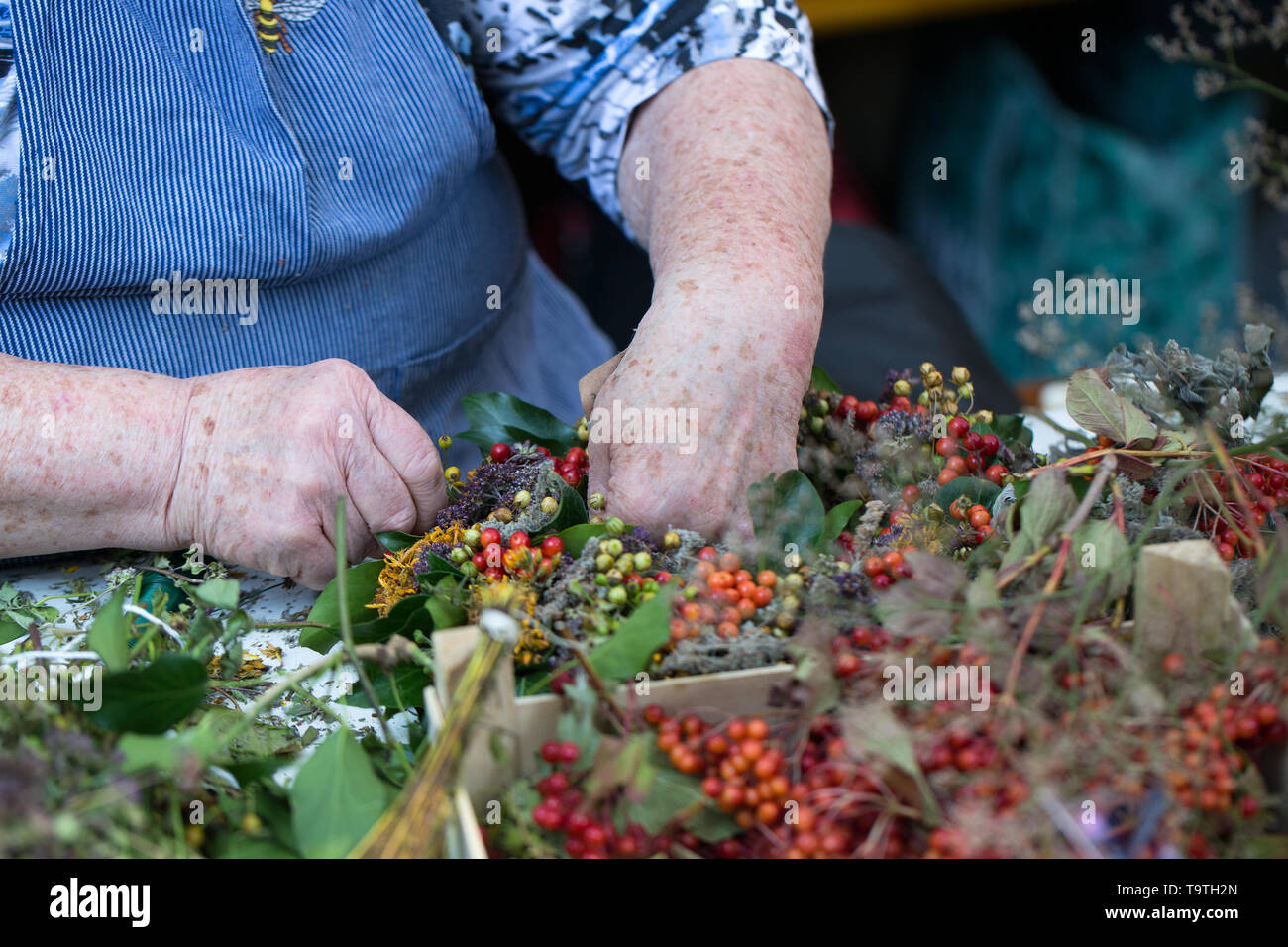 Hands of an old woman making a door wreath in autumn Stock Photo