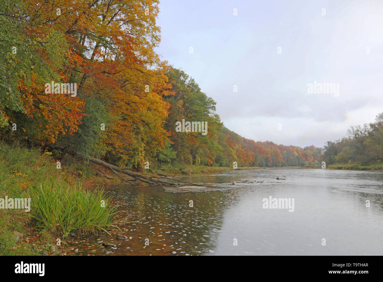 The Grand River with the fall colours in the rain. Shot in Kitchener, Ontario, Canada. Stock Photo