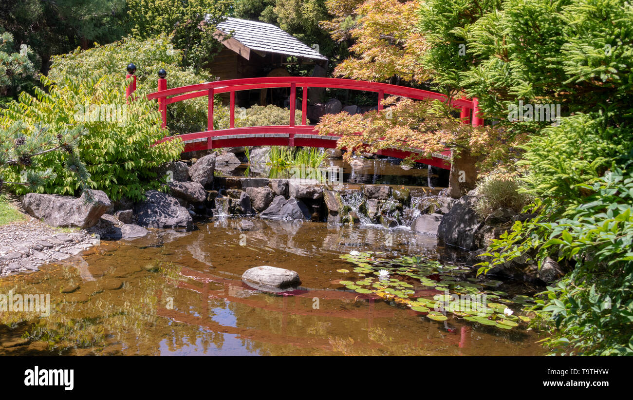 Japanese Garden, Botanical Gardens, Tasmania Stock Photo