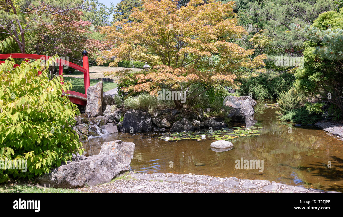 Japanese Garden, Botanical Gardens, Tasmania Stock Photo