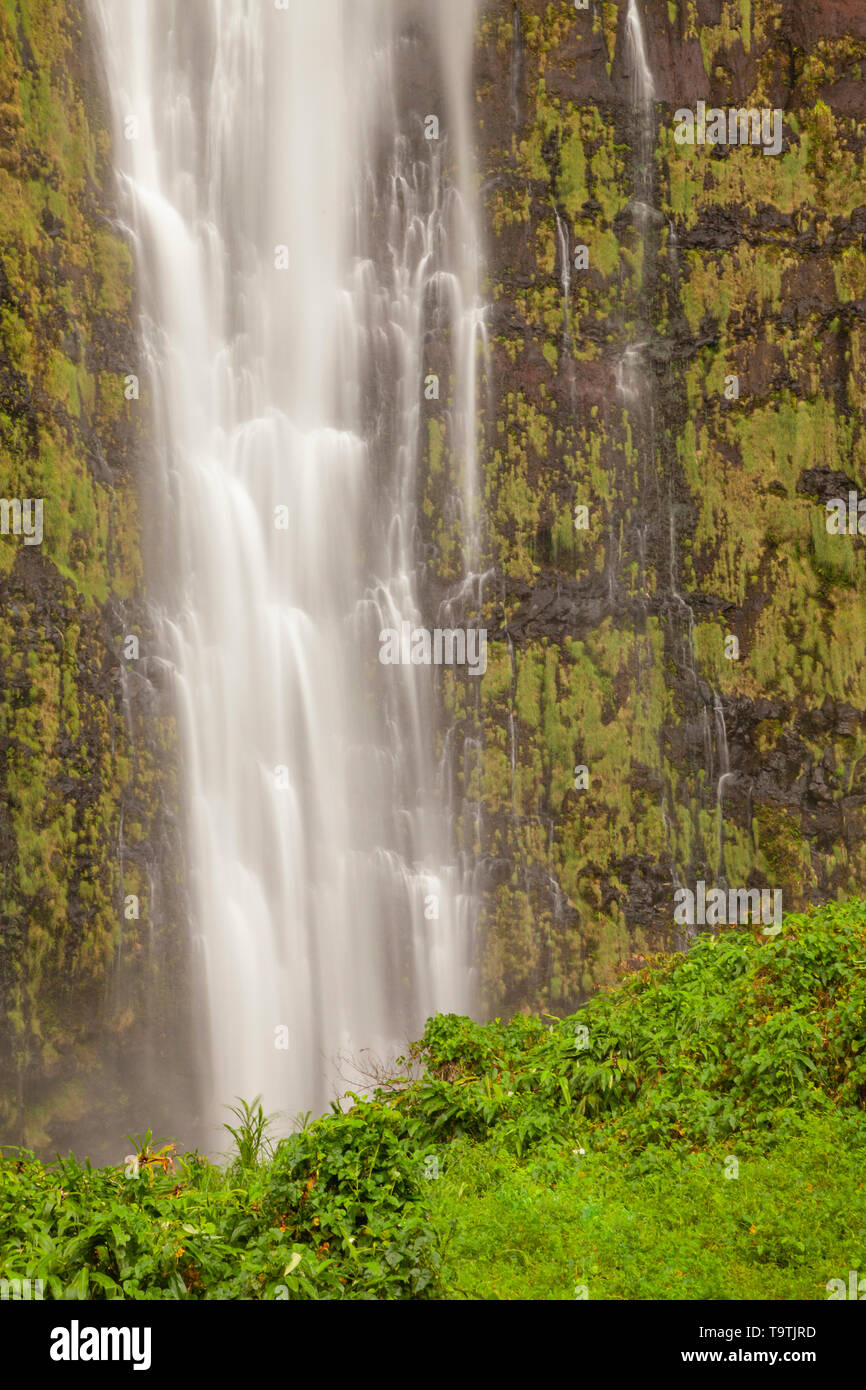 Waimoku Falls, Haleakala National Park, Maui, Hawaii, USA Stock Photo
