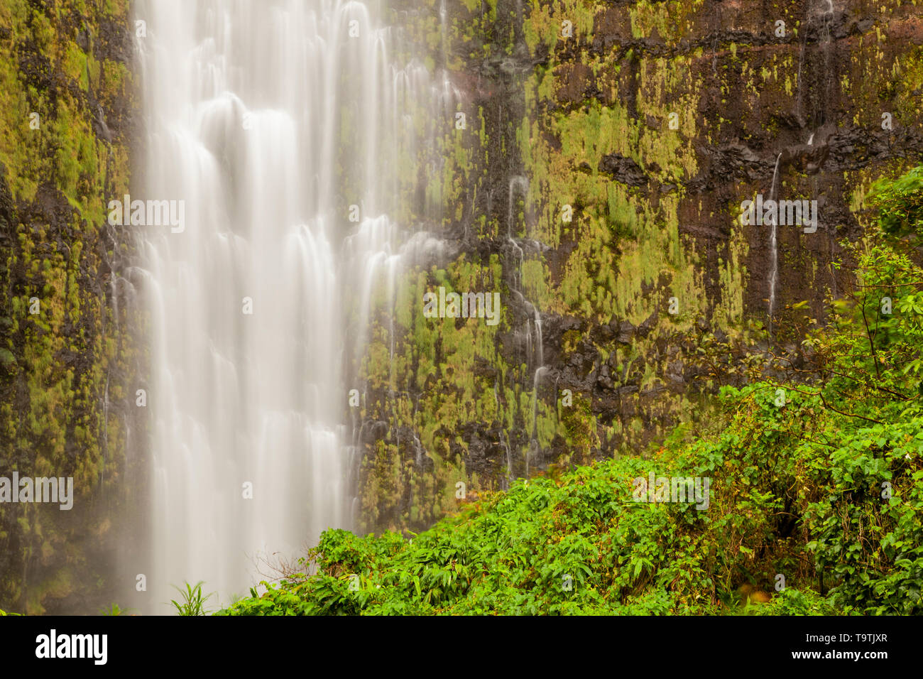 Waimoku Falls, Haleakala National Park, Maui, Hawaii, USA Stock Photo