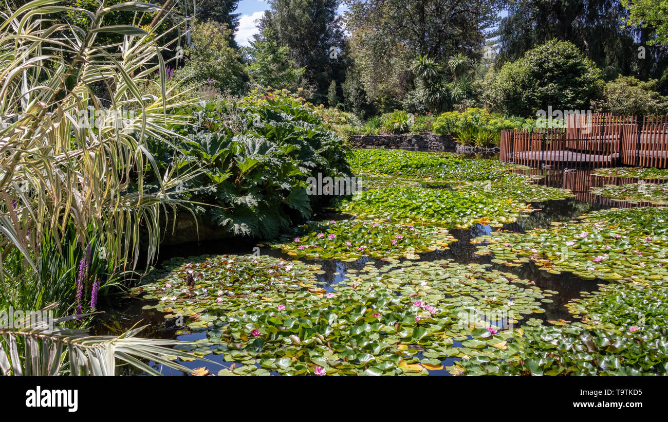 Royal Botanical Gardens, Hobart, Tasmania Stock Photo