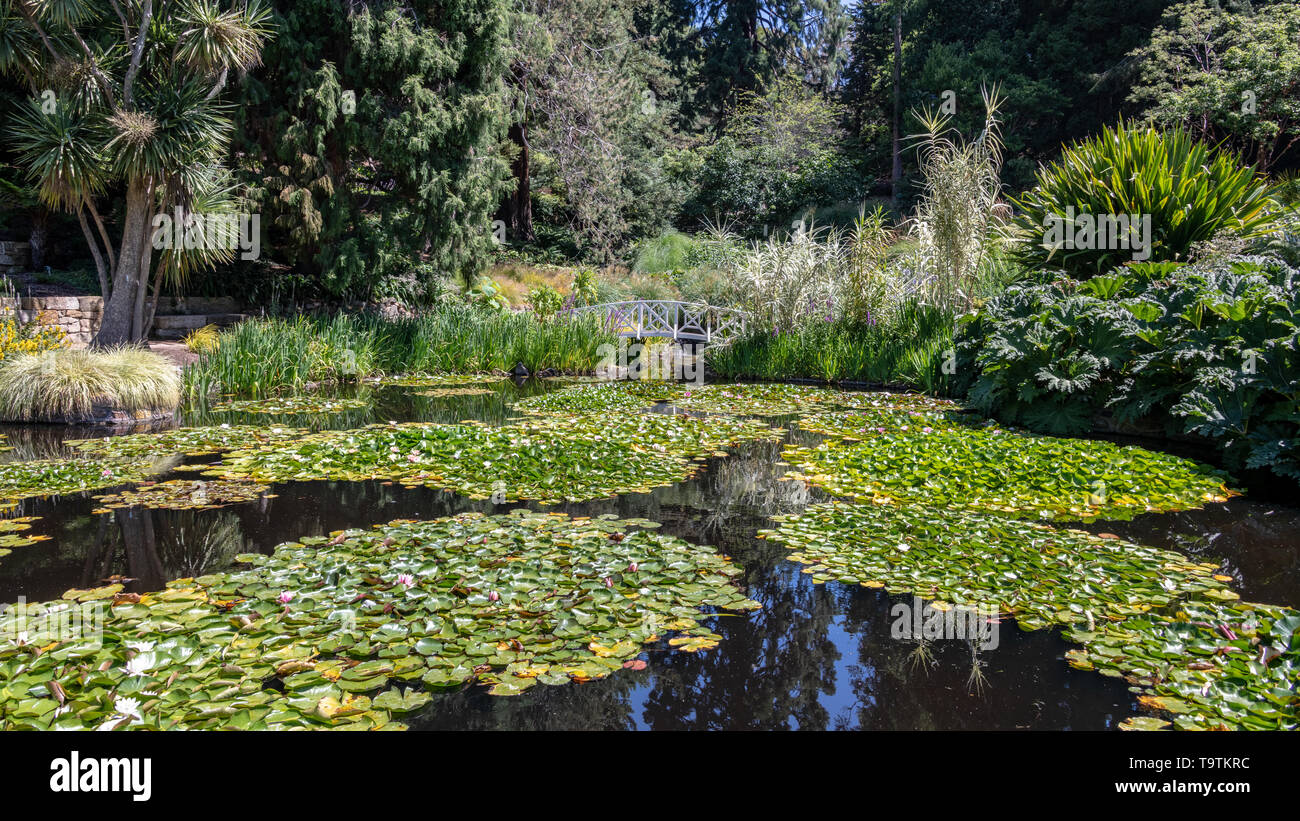 Royal Botanical Gardens, Hobart, Tasmania Stock Photo