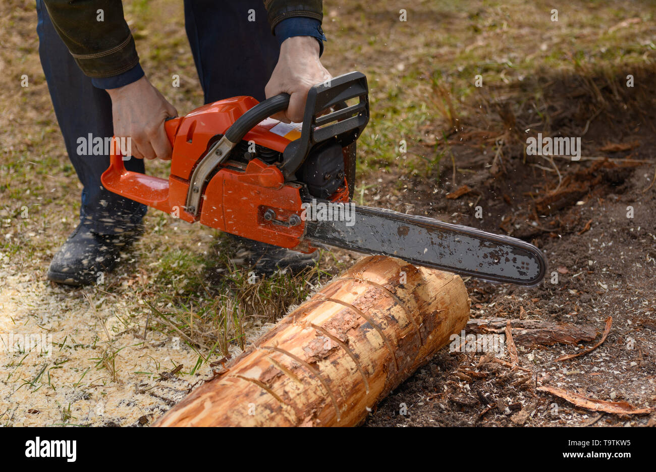 Chainsaw man power hi-res stock photography and images - Alamy