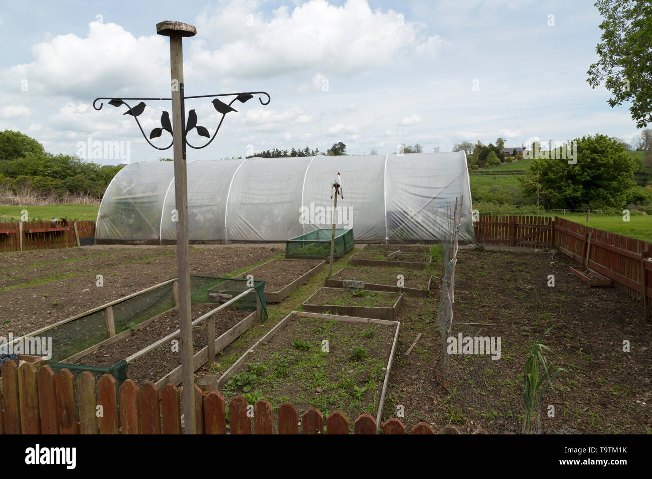 Grow your own: A poly tunnel and vegetable beds in a field Stock Photo