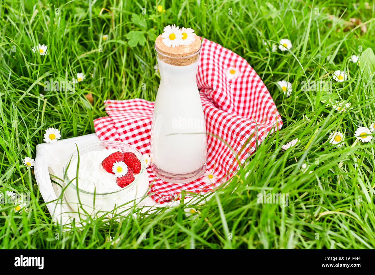 Bottle Of Milk And Cottage Cheese In A Jar Of Maoini Berries On