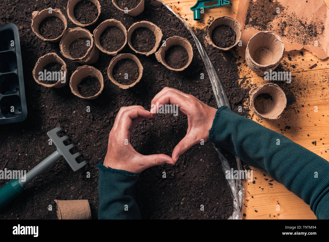 Gardener hand heart gesture over the table with organic gardening and farming equipment, close up of female hands Stock Photo