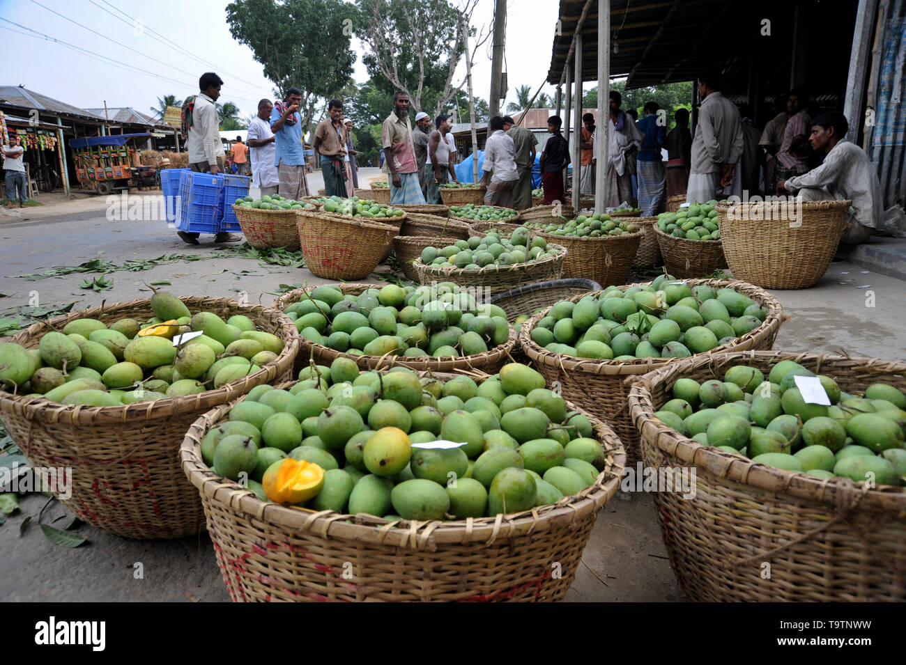 Mango Market Bangladesh Stock Photos & Mango Market Bangladesh Stock