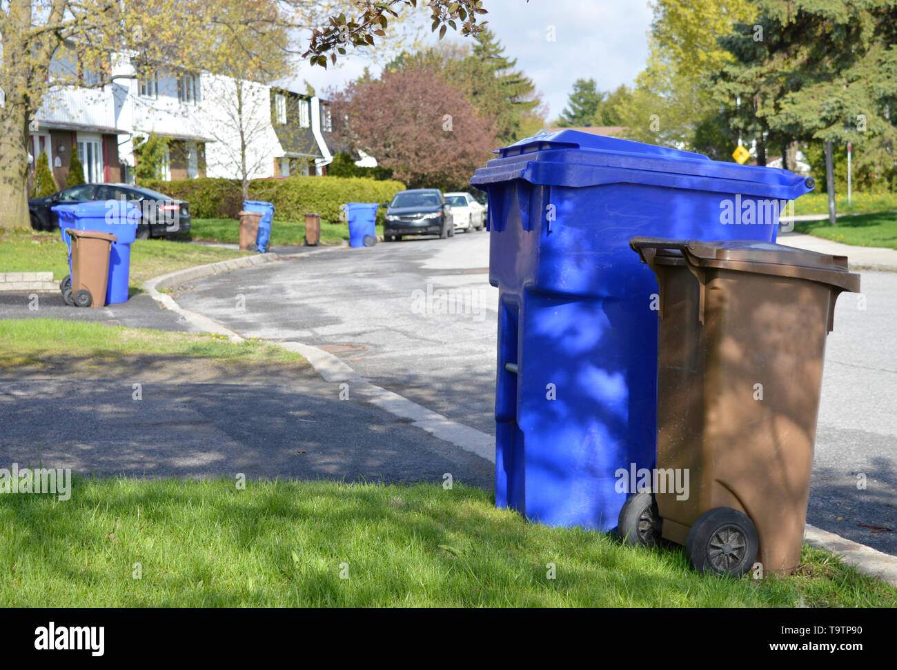 Recycle bins and compost bins line a street awaiting collection from