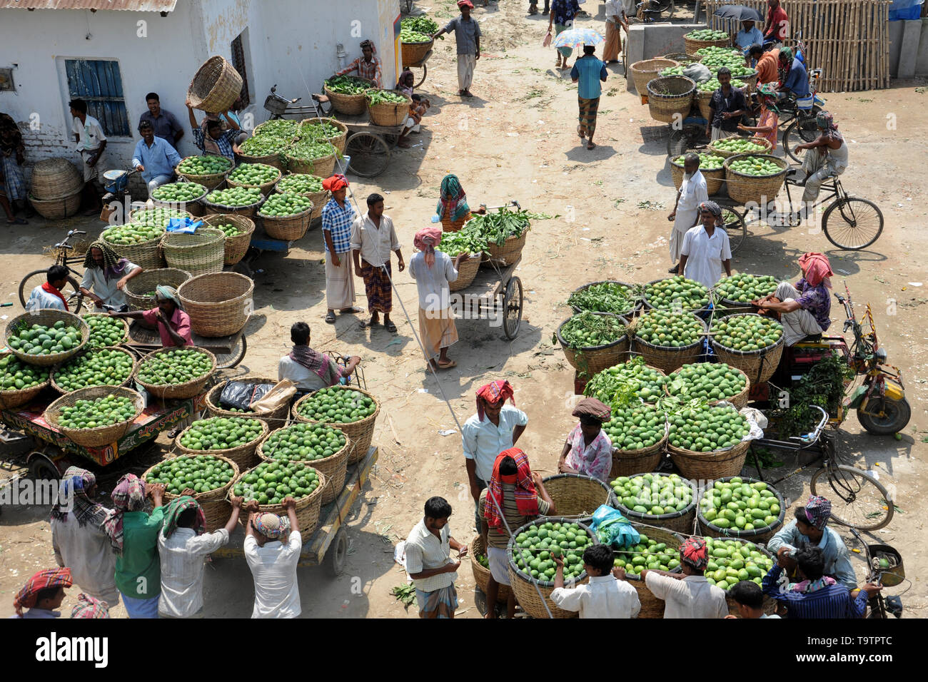 Mango market bangladesh hi-res stock photography and images - Alamy
