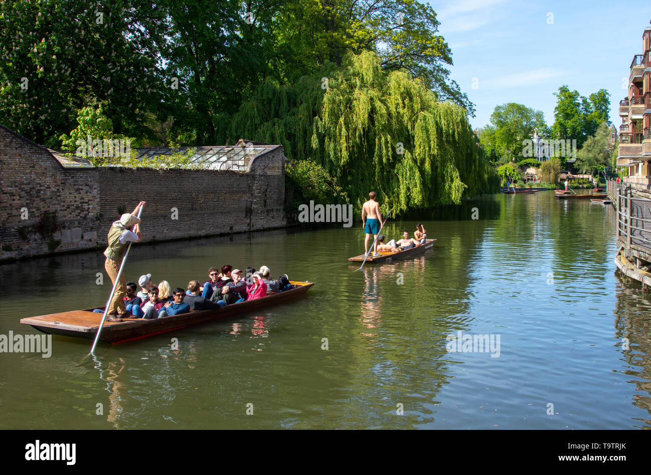 Punting on the River Cam Cambridge Stock Photo