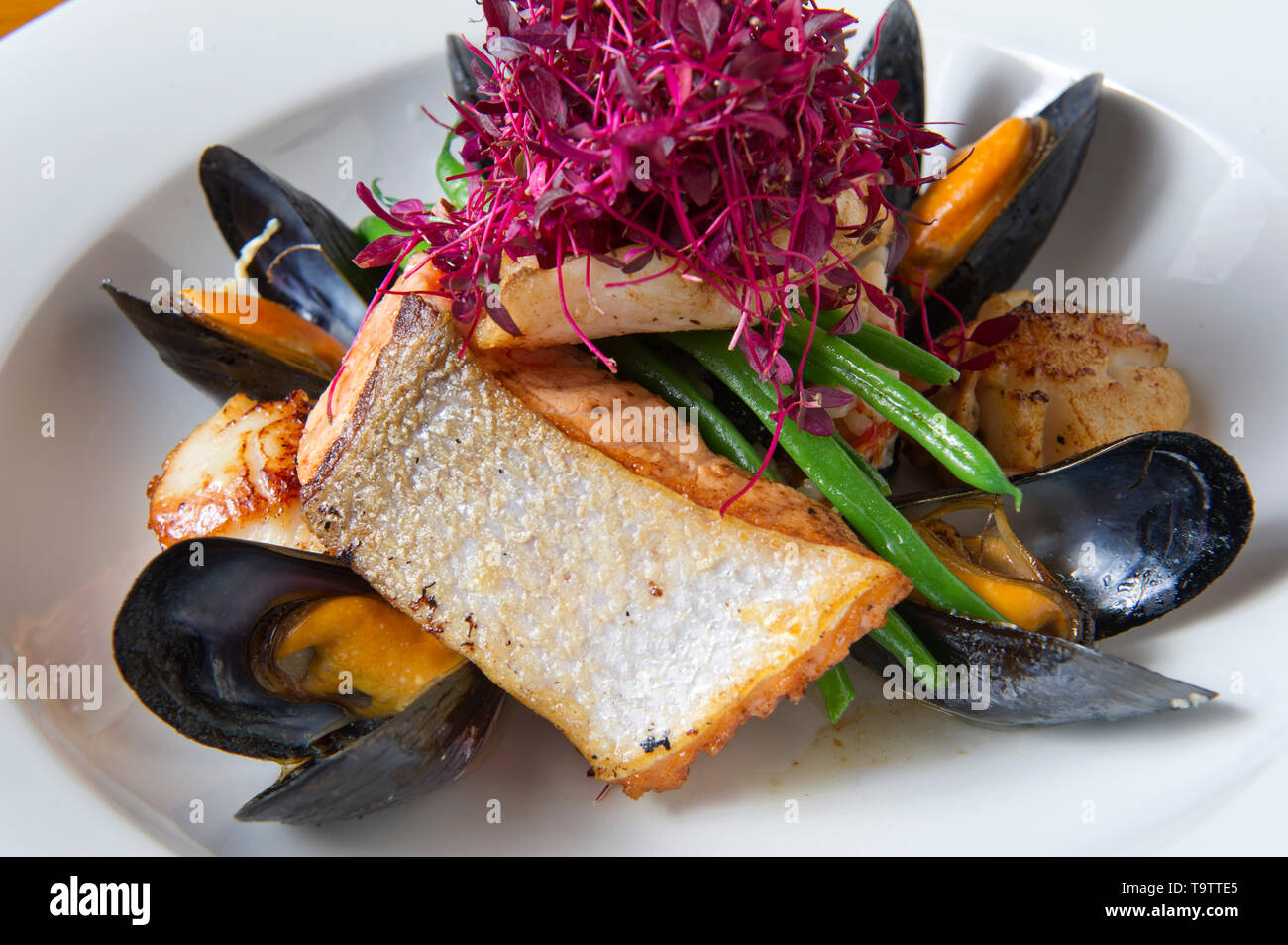 Salmon with scallops and mussels Stock Photo