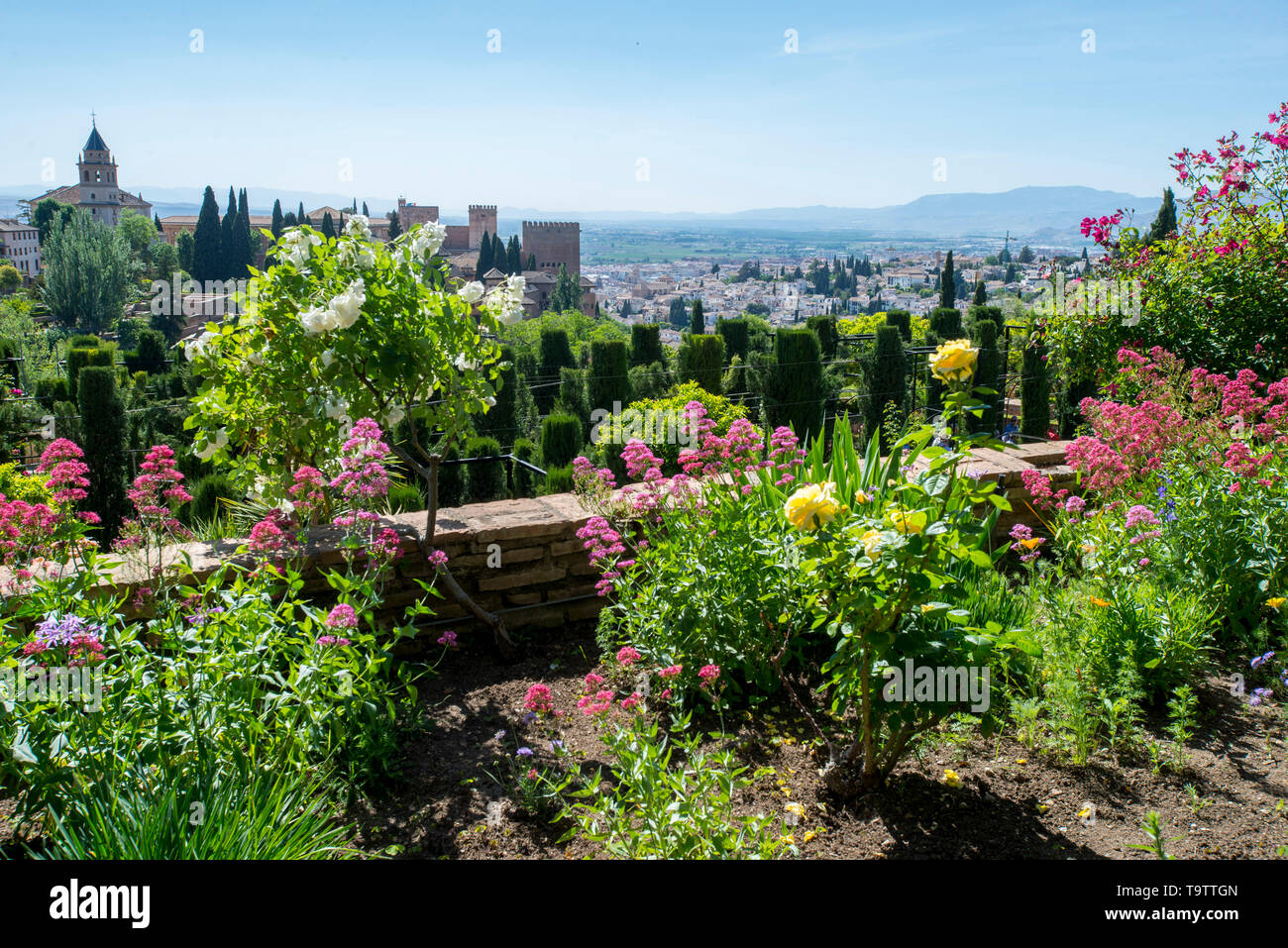 Renaissance alhambra palace hires stock photography and images Alamy