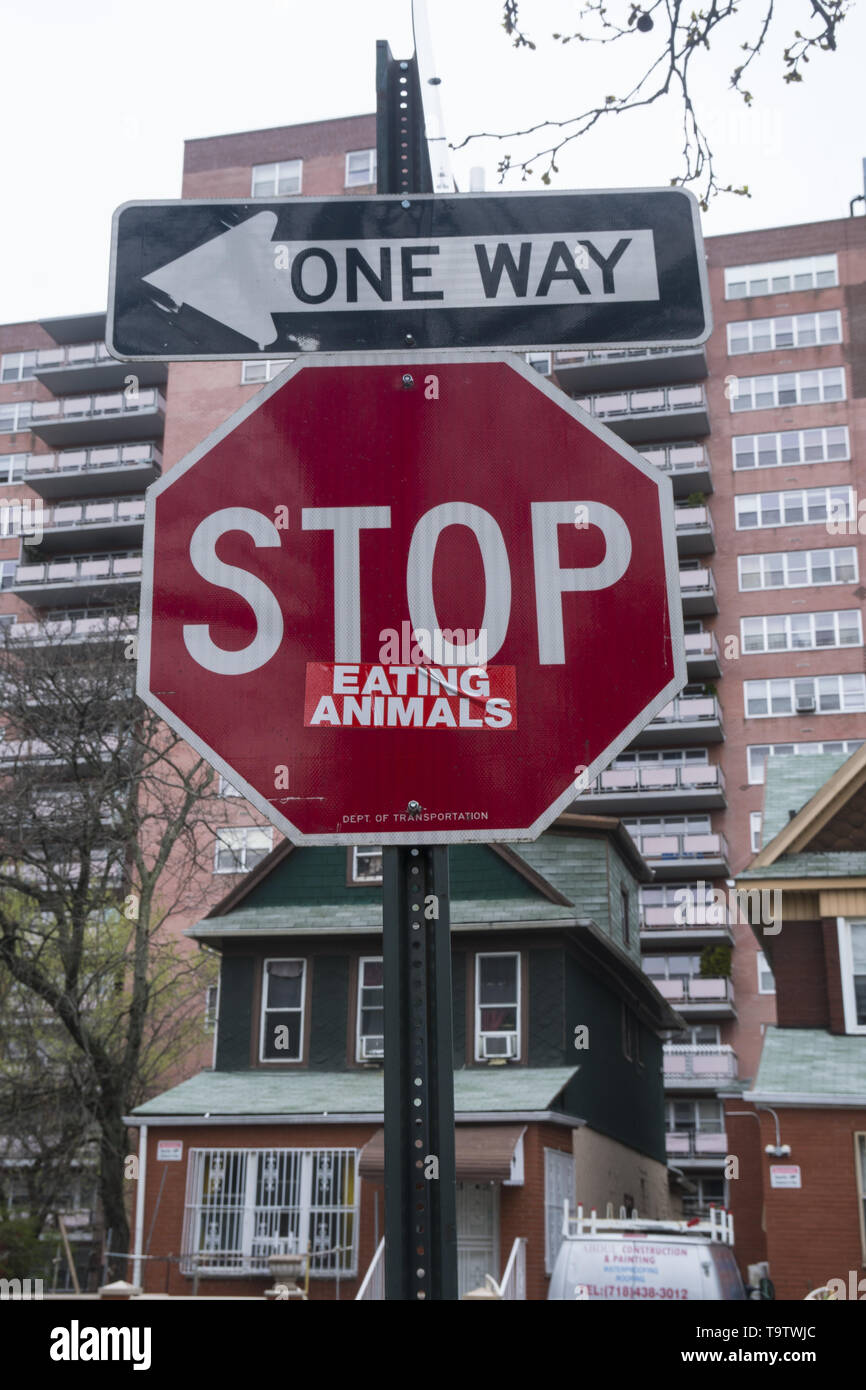 Animal rights activist uses a stop sign to get the message across to 'Stop eating Meat.' Brooklyn, New York. Stock Photo