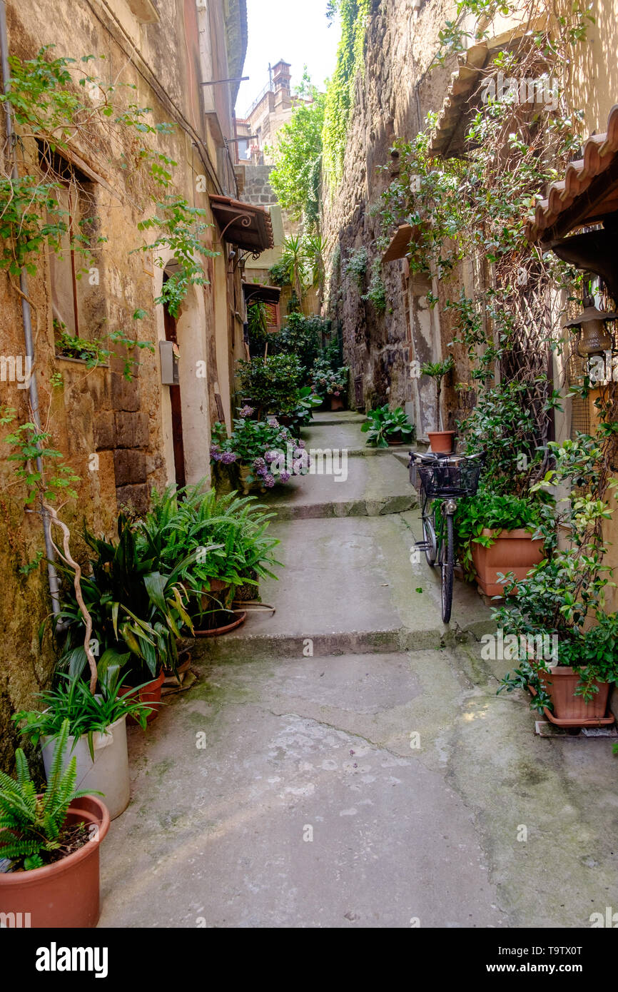 A blind alley in the historic town of Sant'Agata de' Goti, Campania, Italy, is full of flowers and shows some authentic, charming character. Stock Photo