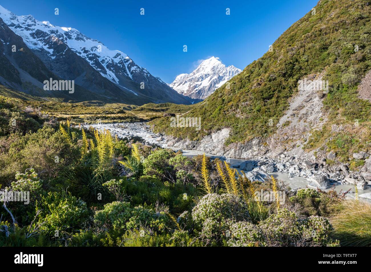 Hooker Valley with views of Mount Cook, Hooker River, Mount Cook National Park, Southern Alps, Canterbury, South Island, New Zealand Stock Photo