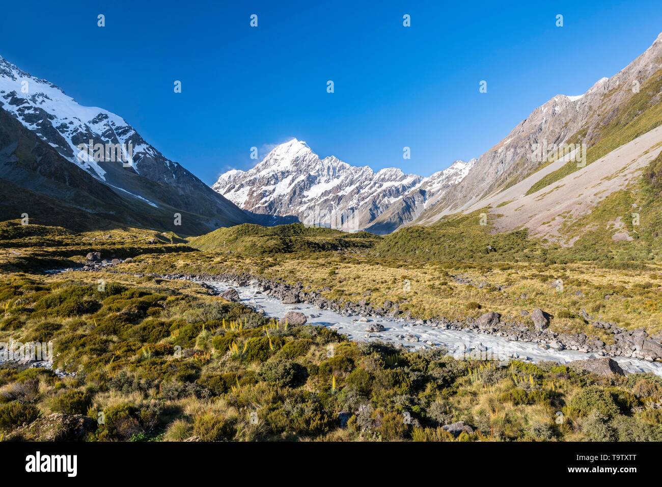 Hooker Valley with views of Mount Cook, Hooker River, Mount Cook National Park, Southern Alps, Canterbury, South Island, New Zealand Stock Photo