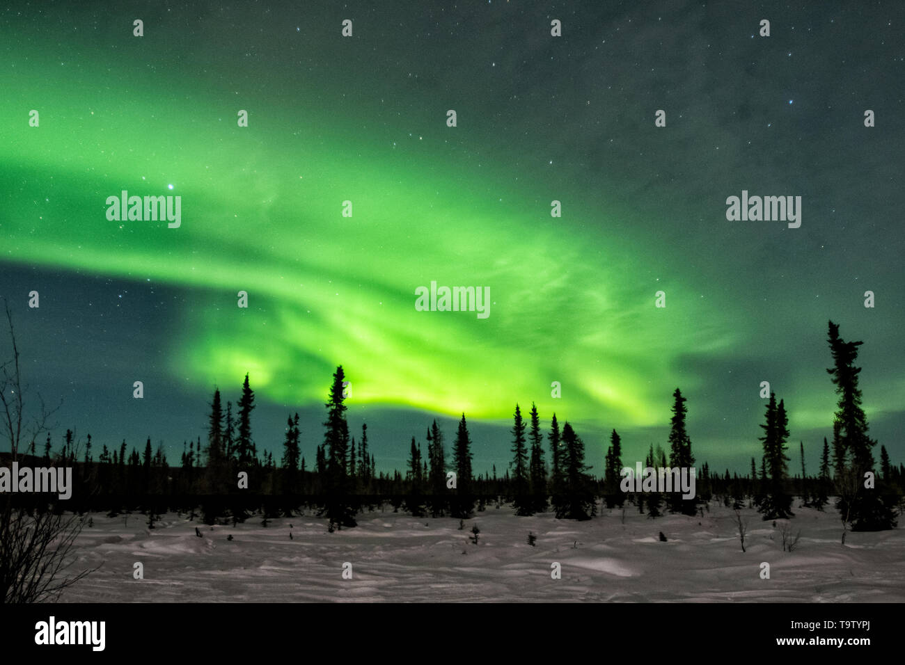 North America; United States; Alaska; Tanana Valley; Winter Night sky