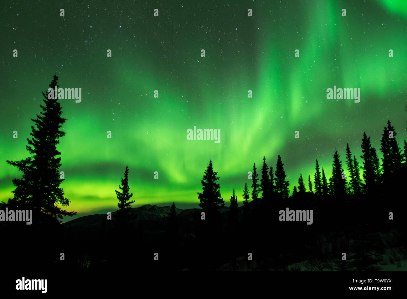 North America; Unites States; Alaska; Nenana River Valley; Mount Healy