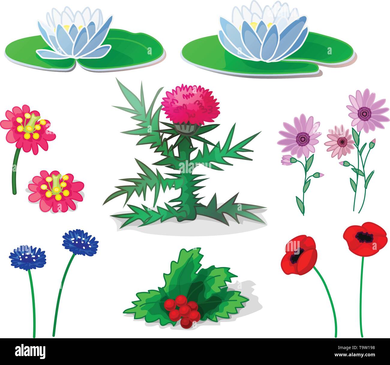 flowers forest plants succulents Clipart set potted plants A collection
