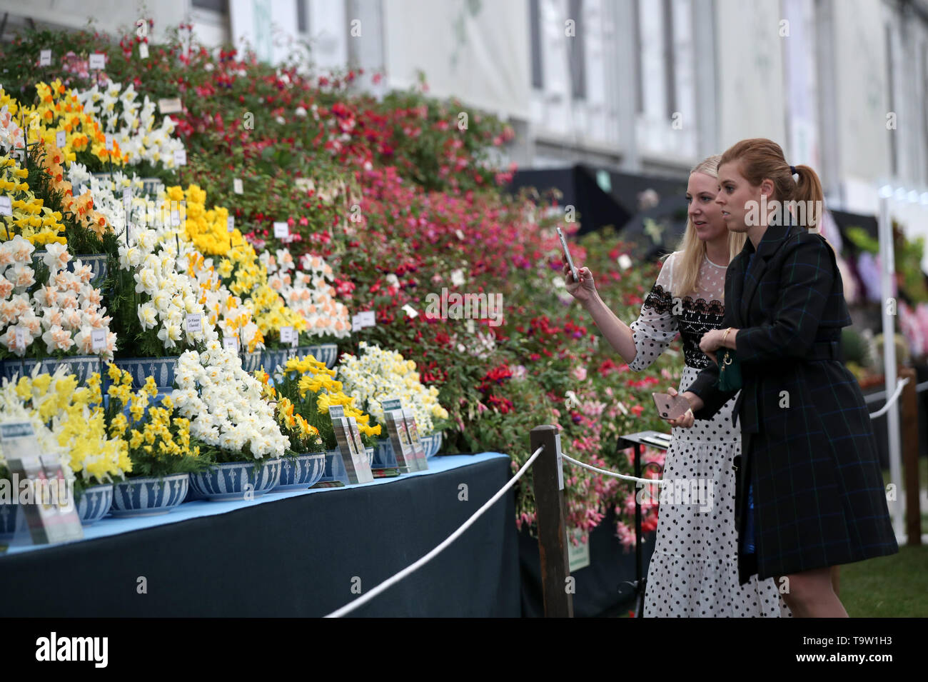 Alice naylor leyland hires stock photography and images Alamy