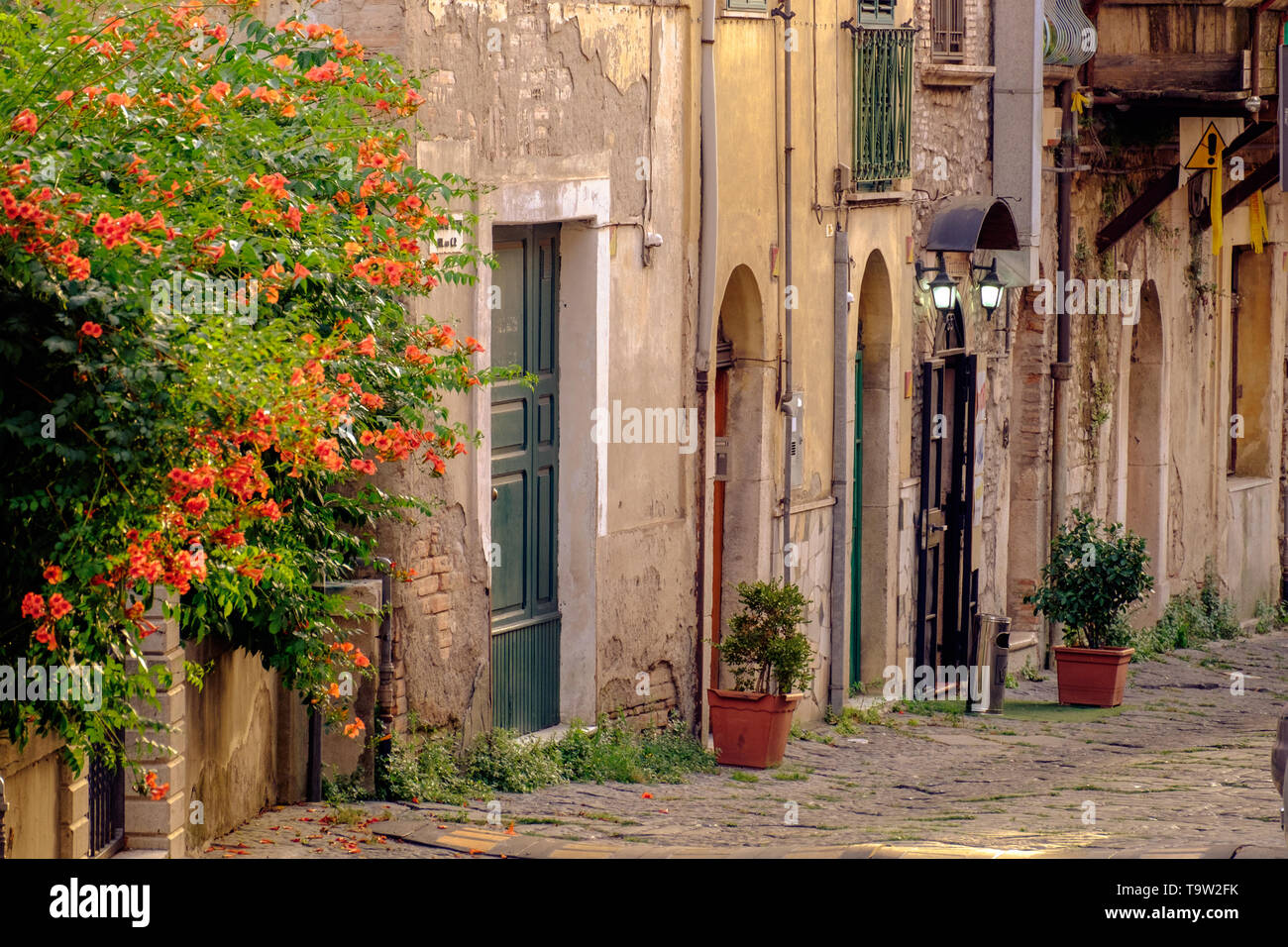 An alley shows the character of historical Benevento. Ancient houses and flowery plants give this alley an authentic personality. Stock Photo