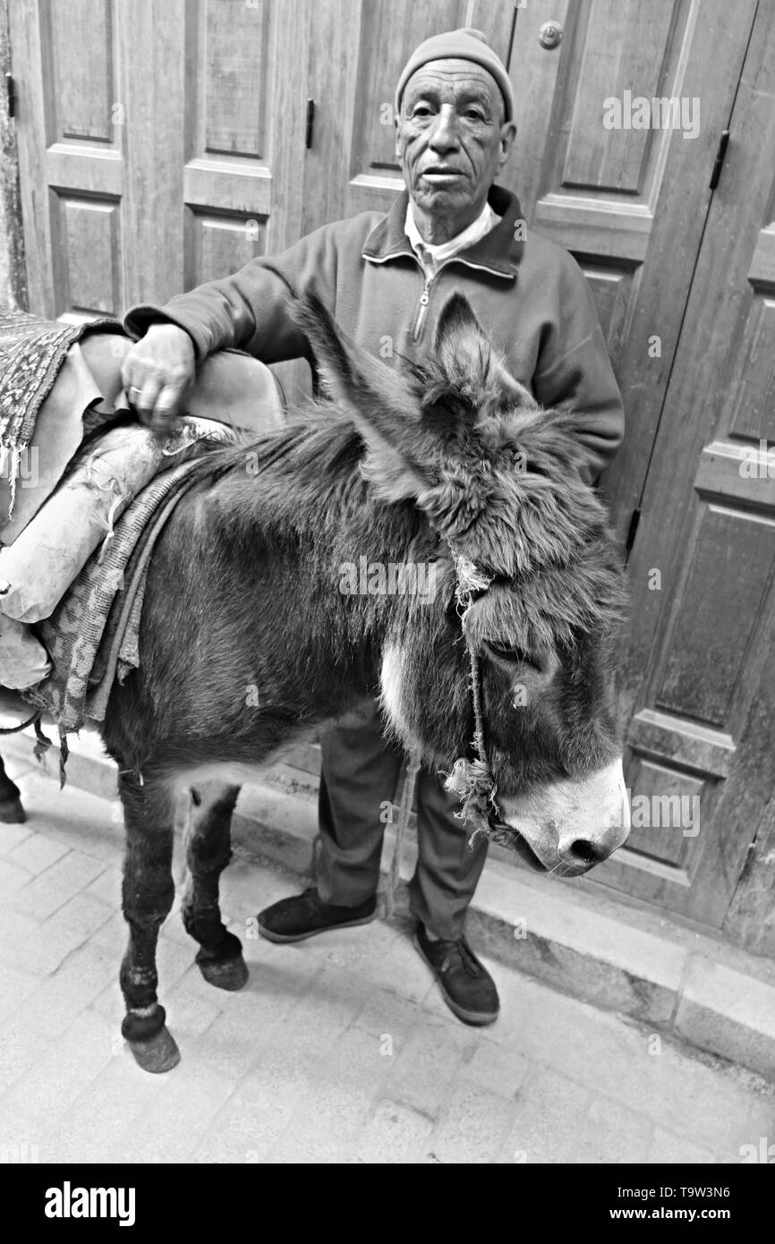 March 12, 2019 Morocco, Casablanca: A resident of the city with his harnessed donkey in a narrow bazaar street Stock Photo