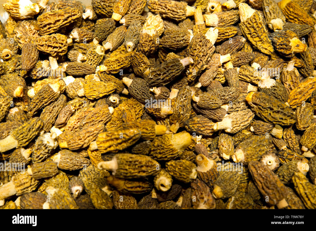 Zurich, Switzerland May 16, 2019 Food Zurich Festival Opening at Jelmoli Food Market with