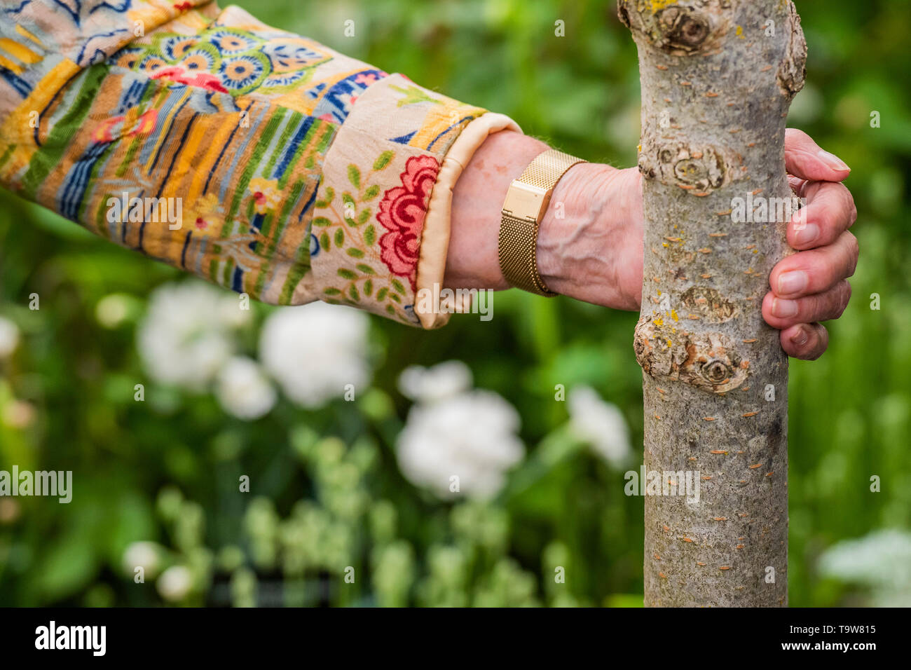 London, UK. 20th May, 2019. Dame Judi Dench launches a re-elming initiative on the Hillier Nurseries stand - Press preview day at The RHS Chelsea Flower Show. Credit: Guy Bell/Alamy Live News Stock Photo
