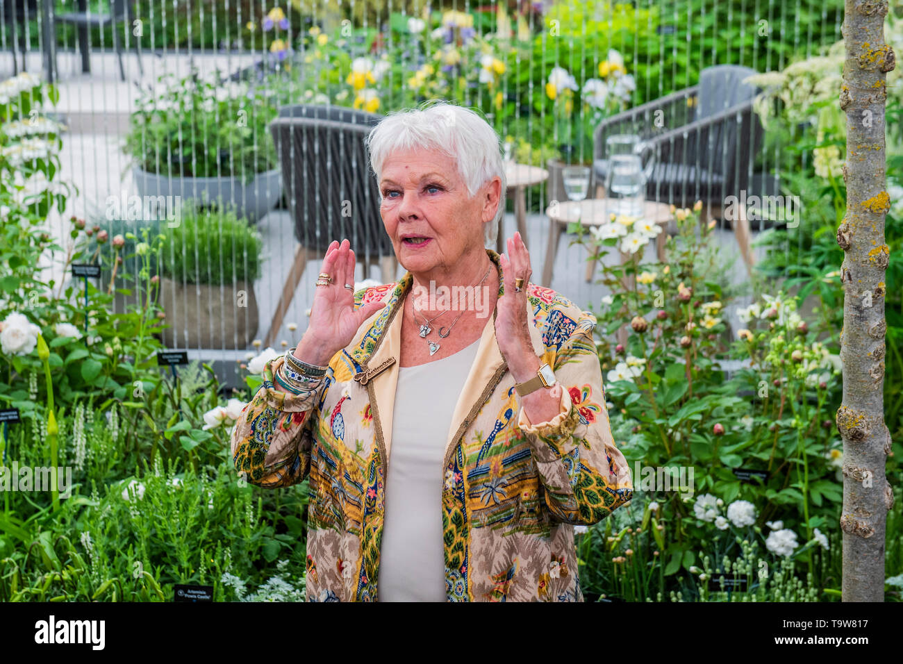 London, UK. 20th May, 2019. Dame Judi Dench launches a re-elming initiative on the Hillier Nurseries stand - Press preview day at The RHS Chelsea Flower Show. Credit: Guy Bell/Alamy Live News Stock Photo