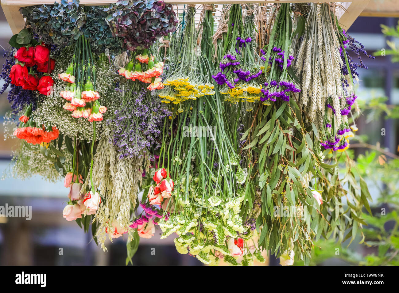 Belgravia, London, UK, 20th May 2019. Halkin Arcade off Motcomb Street has some immersive garden installations, including these hanging plants.  Belgravia's fourth annual floral festival coincides with the RHS Chelsea Flower Show in neighbouring Chelsea. This year, the theme of ‘The Language of Flowers’ invites the visitor to uncover the secret meanings behind flowers. Credit: Imageplotter/Alamy Live News Stock Photo