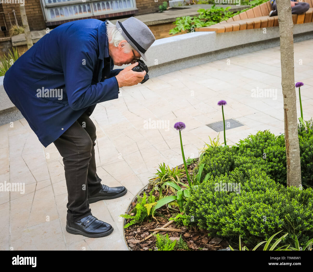 2019.Belgravia, London, UK, 20th May 2019. A man takes snaps of the flowers in Halkin Arcade, including these hanging plants.  Belgravia's fourth annual floral festival coincides with the RHS Chelsea Flower Show in neighbouring Chelsea. This year, the theme of ‘The Language of Flowers’ invites the visitor to uncover the secret meanings behind flowers. Credit: Imageplotter/Alamy Live News Stock Photo