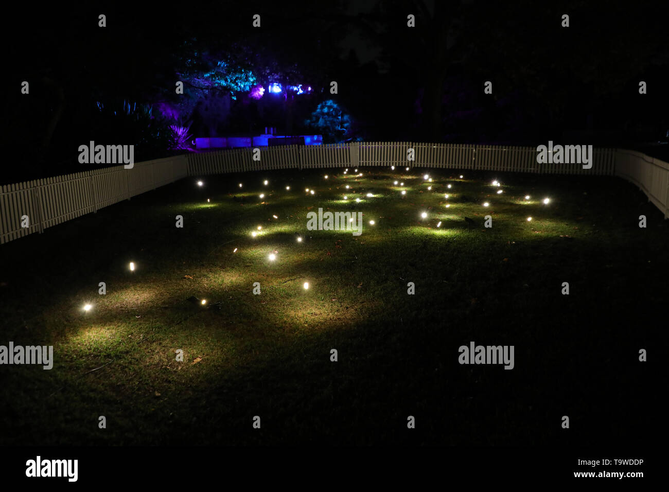 Sydney, Australia. 20th May 2019. From 24 May until 15 June the captivating grounds of the Royal Botanic Garden Sydney will be illuminated by artworks that reflect both light and nature when Vivid Sydney returns for 2019. Entering through the Queen Elizabeth II Gates, visitors can explore 15 mesmerising, playful and informative installations. Pictured: an aerial ballet of 500 tiny light points in the shimmering Firefly Field. Credit: Richard Milnes/Alamy Live News Stock Photo