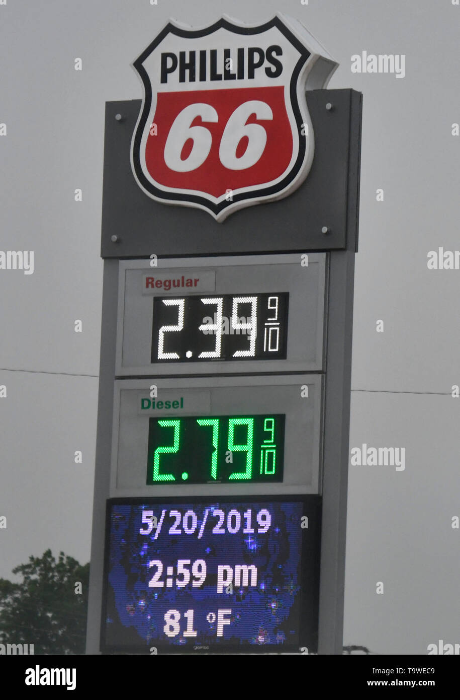 20190520_zaf_bl1_002 hires stock photography and images Alamy