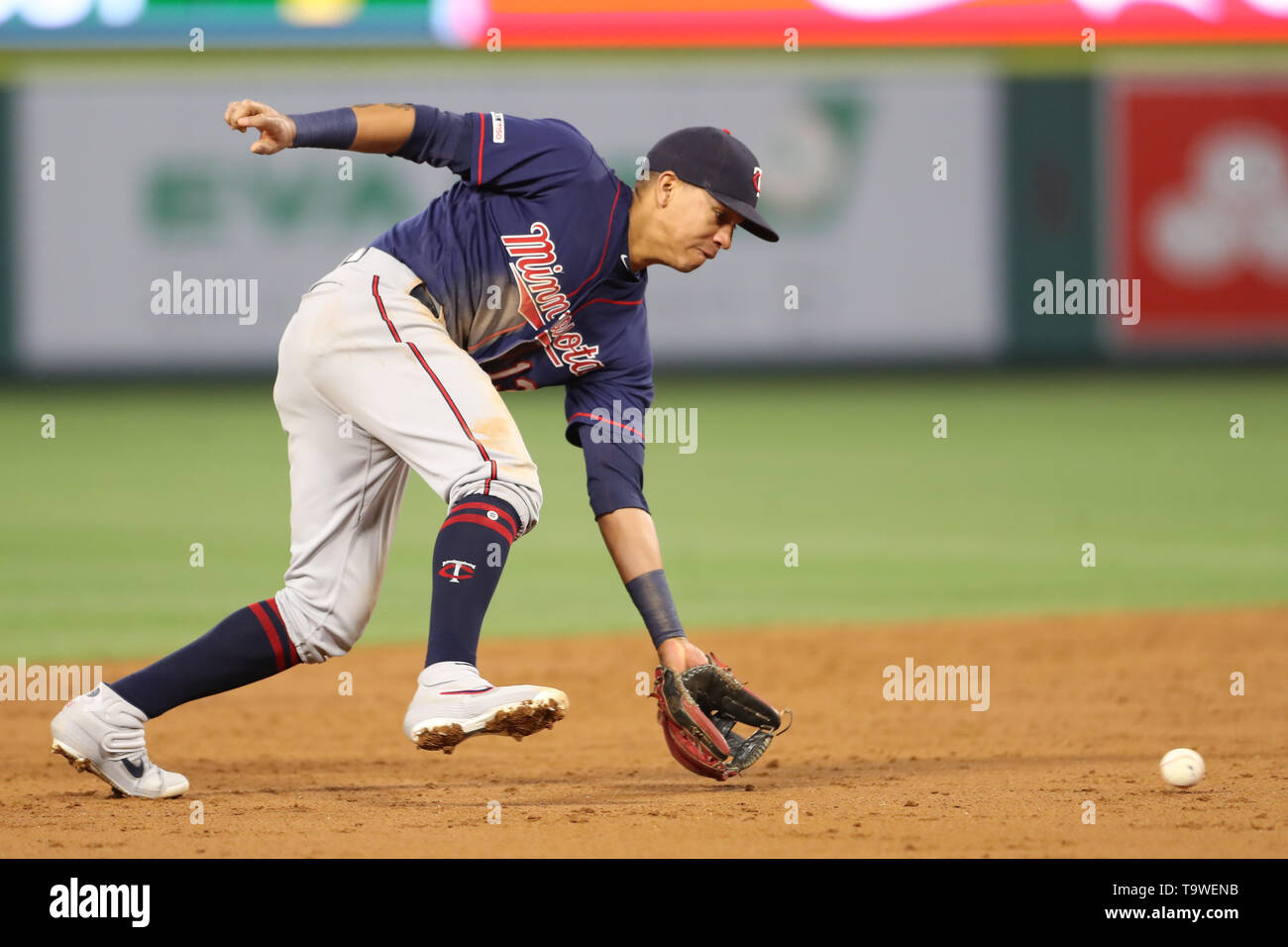 Luis arraez minnesota twins hi-res stock photography and images - Alamy