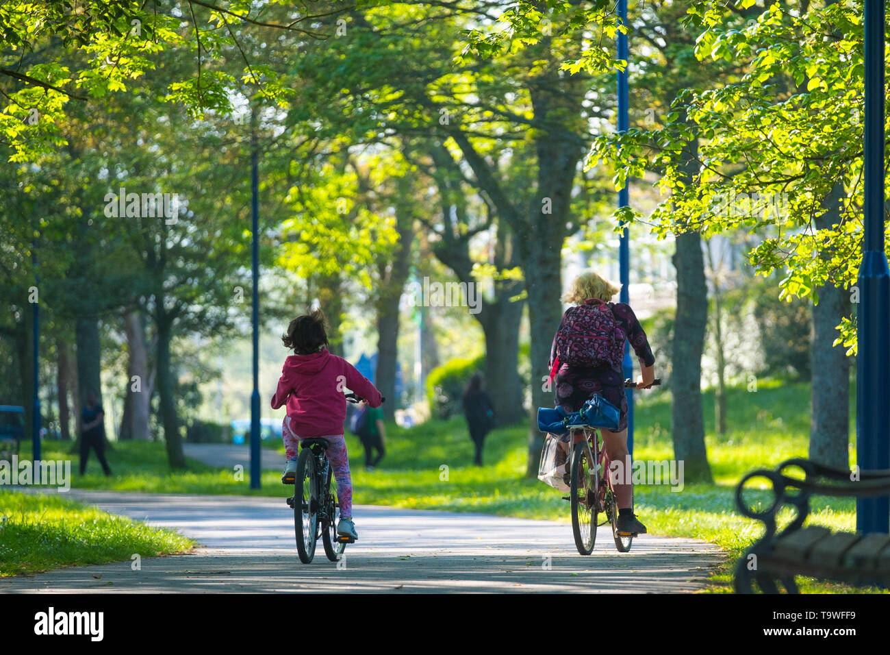 Aberystwyth Wales UK, Tuesday 21 May 2019  UK Weather: People cycling down the tree-lined Plas Crug park  on a bright sunny morning, at the start of yet another day of warm spring sunshine in Aberystwyth Wales. The weather is set fine for the coming days , with extended spells of warm sunshine, with temperatures reaching the low 20’s Celsius in parts of the south east  photo credit: Keith Morris / Alamy Live News Stock Photo
