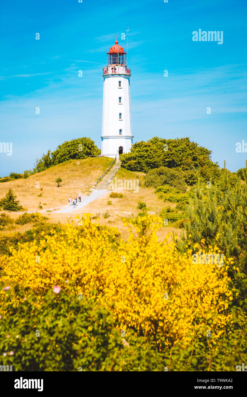 Gamous Lighthouse Dornbusch on the beautiful island Hiddensee with blooming flowers in summer, Baltic Sea, Mecklenburg-Vorpommern, Germany Stock Photo