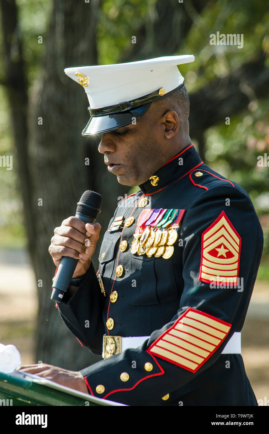 Veterans day lessons for elementary
