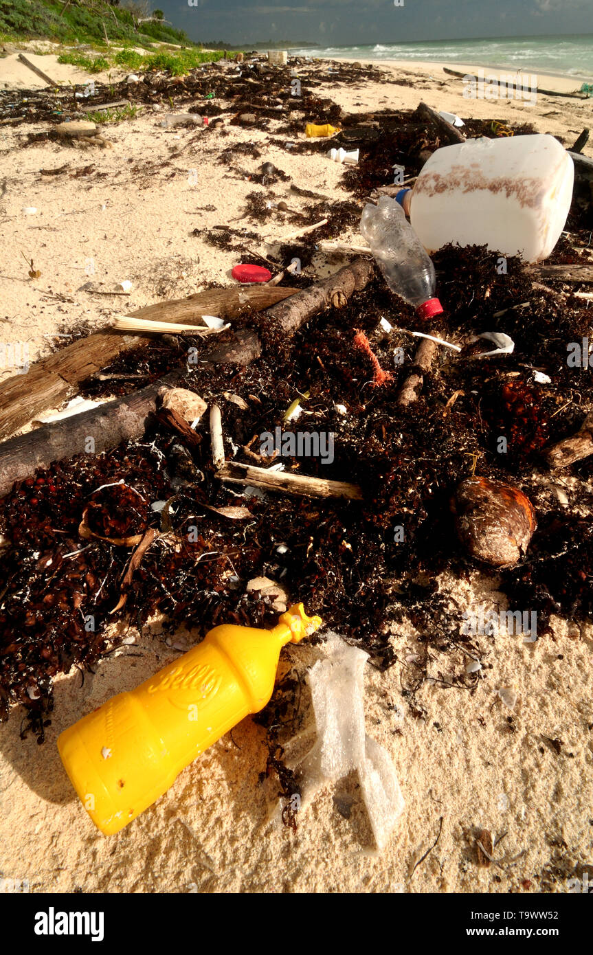 Plastic pollution on the beach within Sian Ka'an Biosphere, Mexico ...