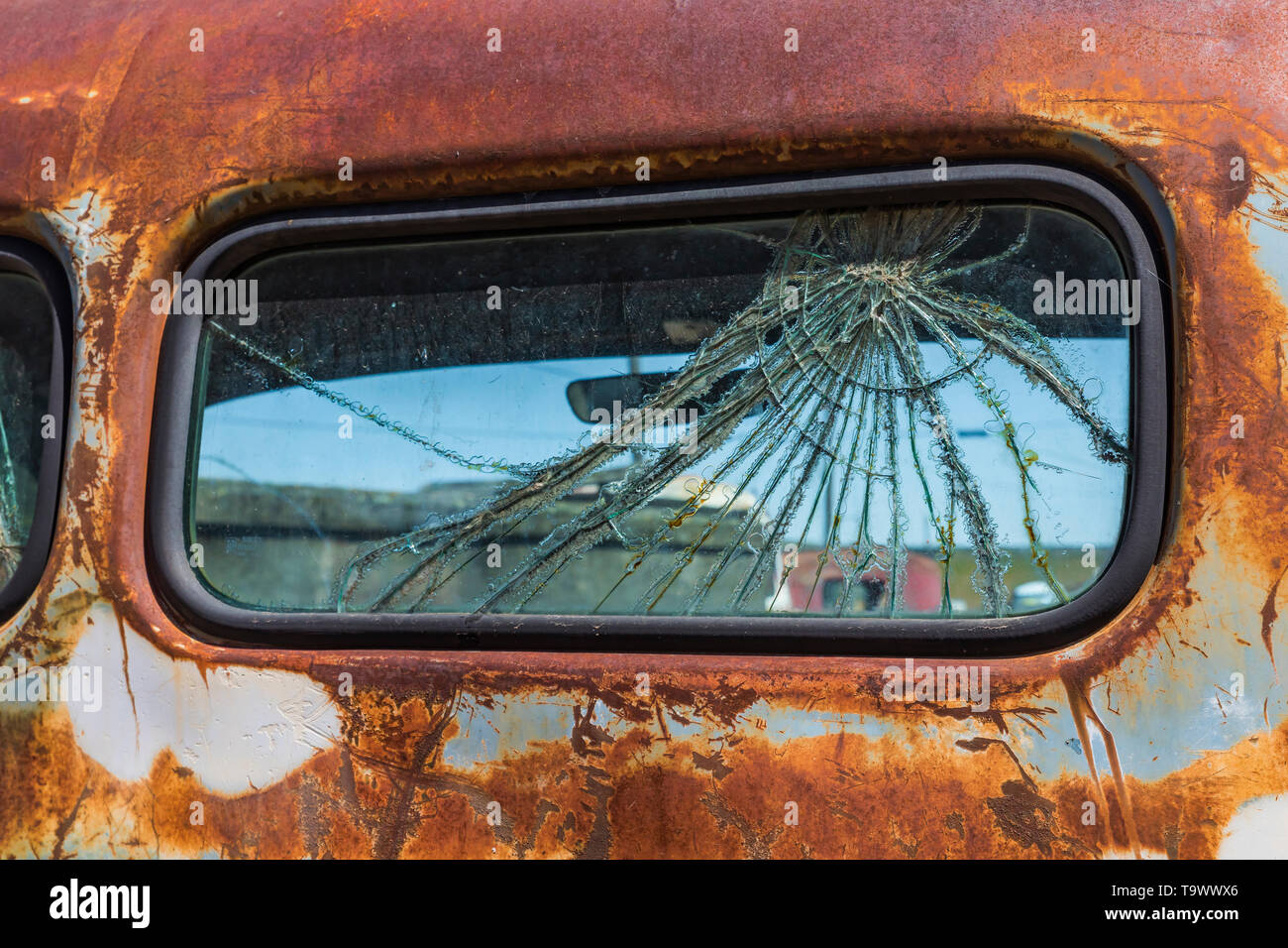 Old pickup truck rear windows in Dave's Old Truck Rescue collection in Sprague, Washington State, USA [No property release: available only for editori Stock Photo