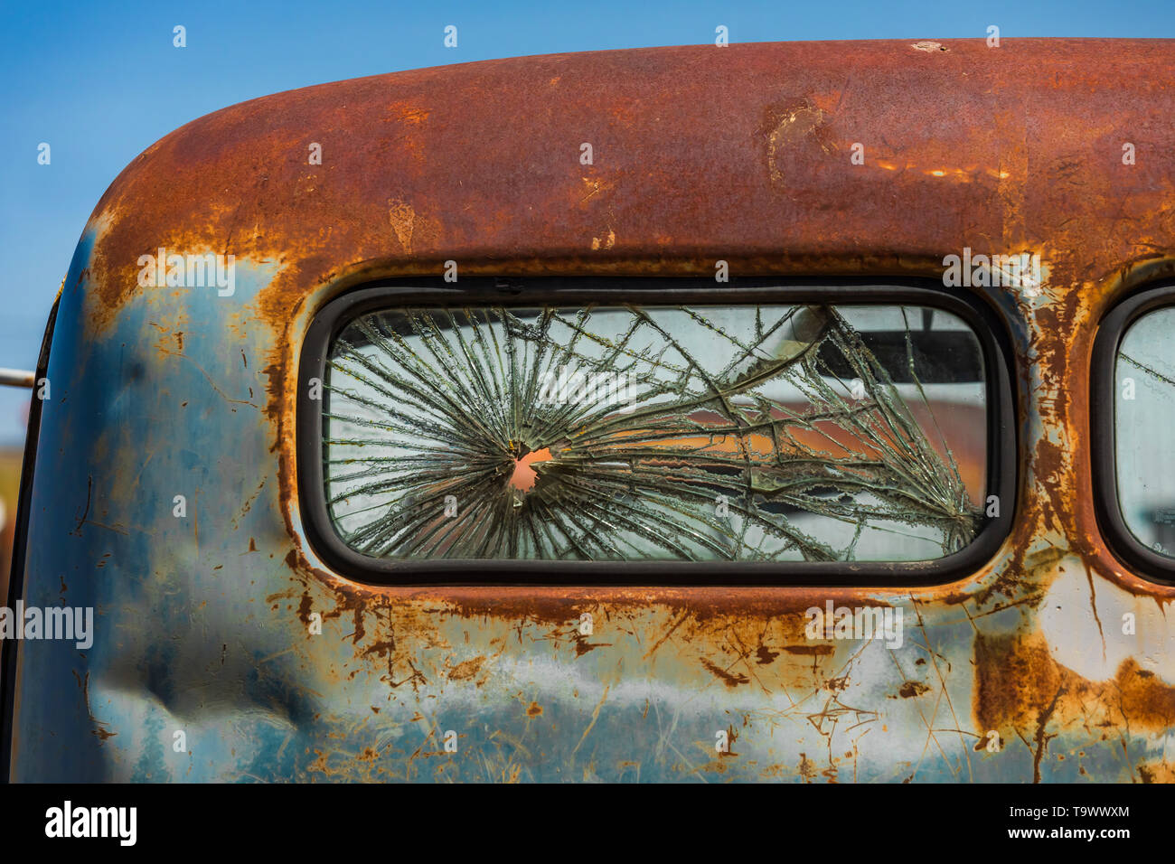 Old pickup truck rear windows in Dave's Old Truck Rescue collection in Sprague, Washington State, USA [No property release: available only for editori Stock Photo