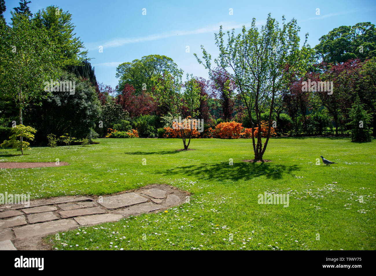 Photographs from around Rozelle park in Ayrshire Stock Photo