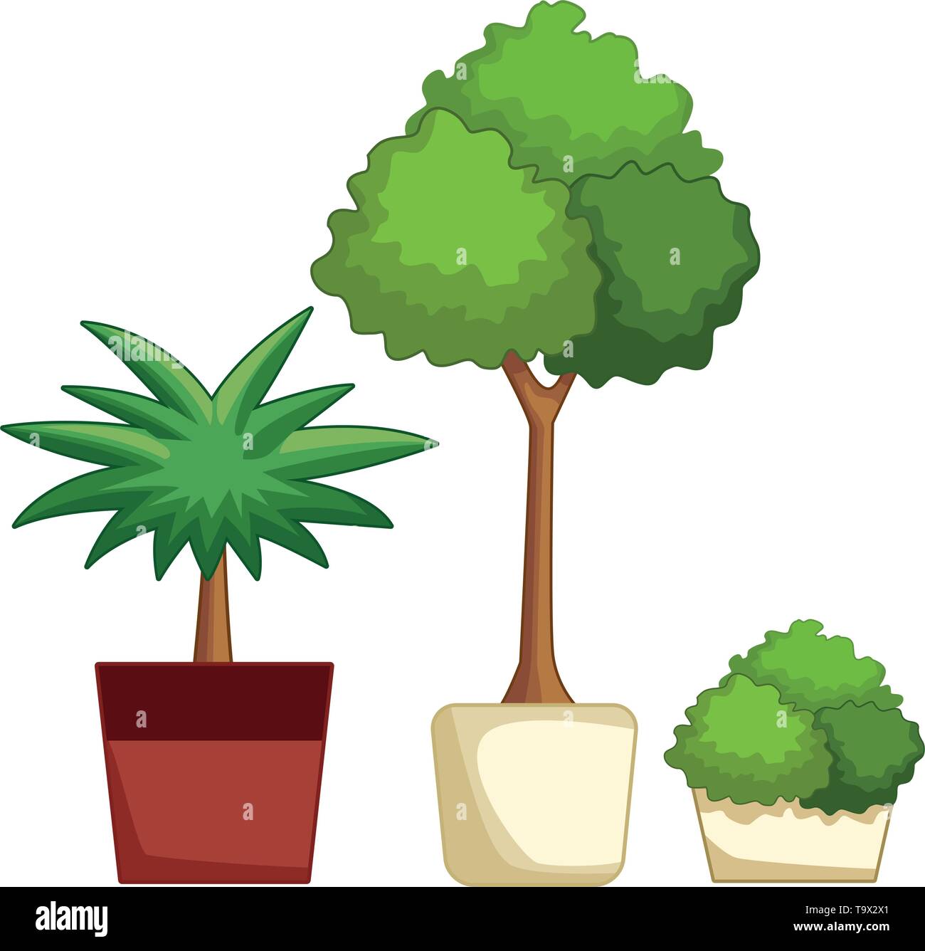 decorative plants on pot Stock Vector Image & Art - Alamy