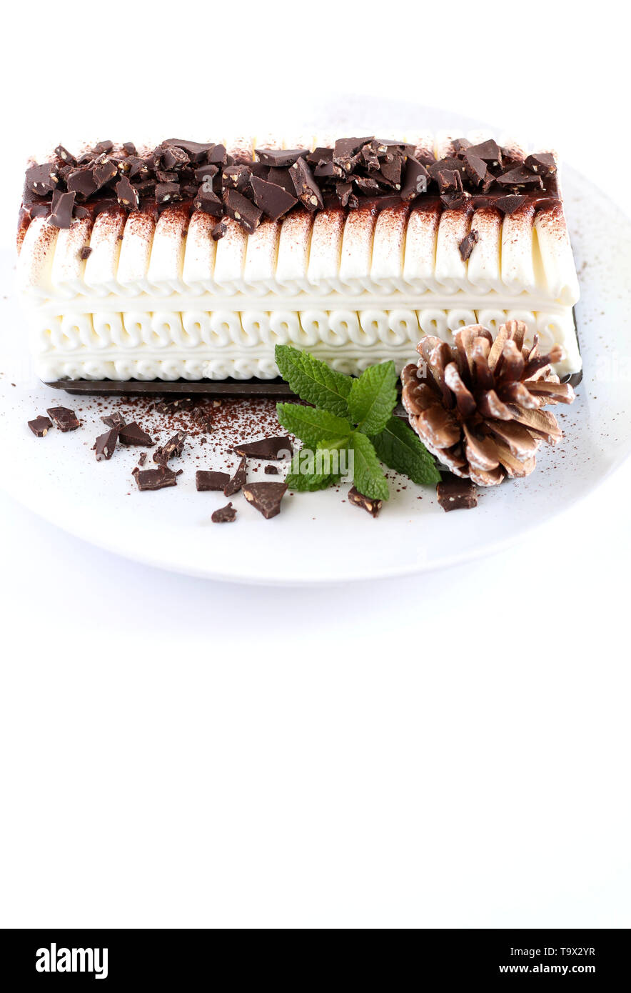 Christmas ice cream yule log cake with chocolate chips on a white