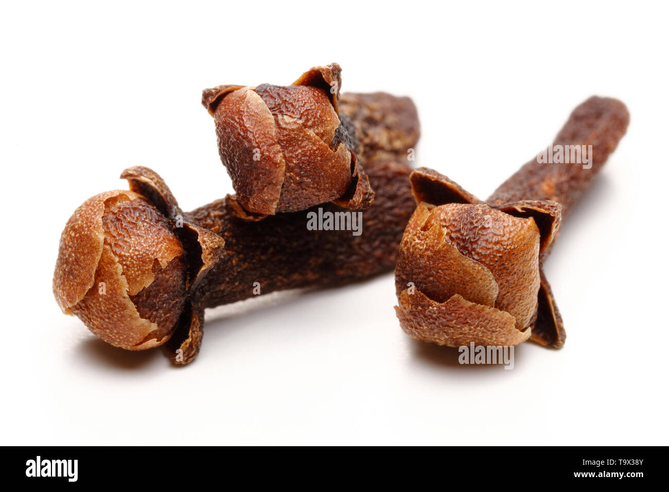 Dry clove buds isolated on white background Stock Photo Alamy