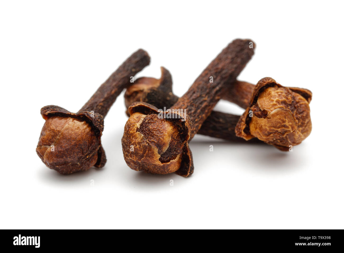 Dry clove buds isolated on white background Stock Photo Alamy
