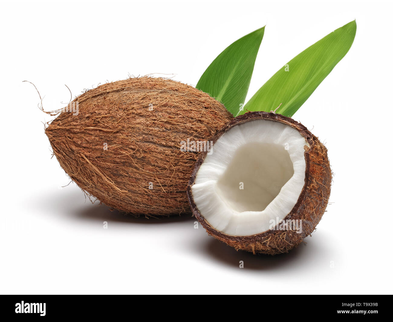 Fresh coconut broken in half with leaf isolated on white background